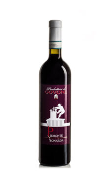 bottiglia di vino rosso bonarda