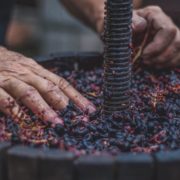 i vini rossi tipici piemontesi dei produttori di govone