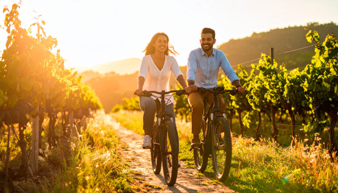 Firefly_sentiero-tra-le-vigne,-al-tramonto-con-uomo-e-donna-su-e-bike-486599